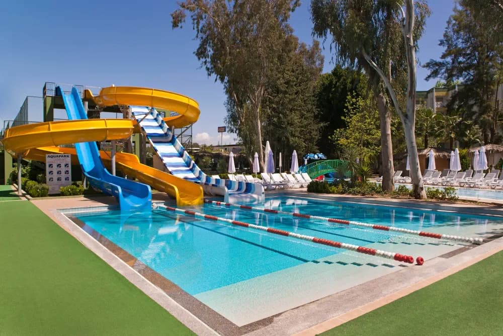Delphin Platinum Tüm Fotoğraflar